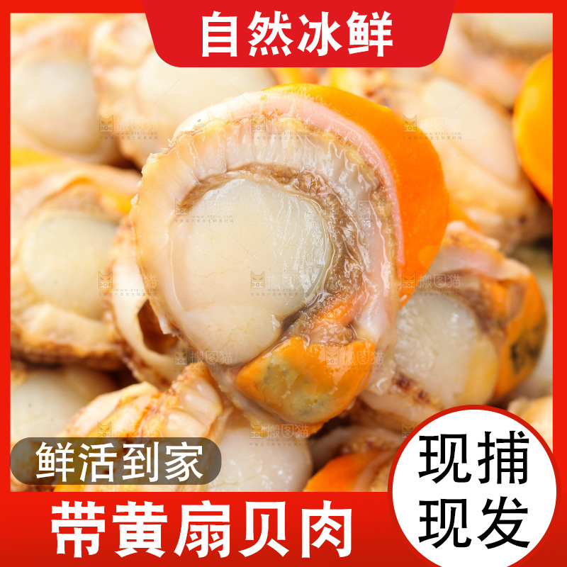 深底上的带黄扇贝肉