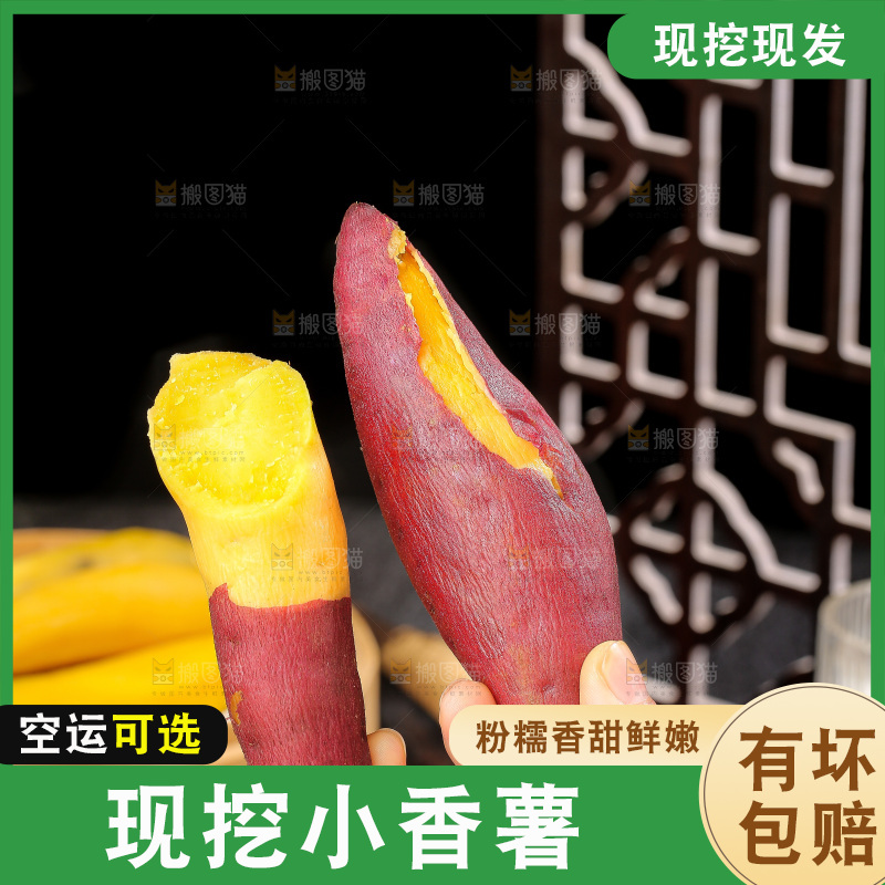 深底上的天目山小香薯