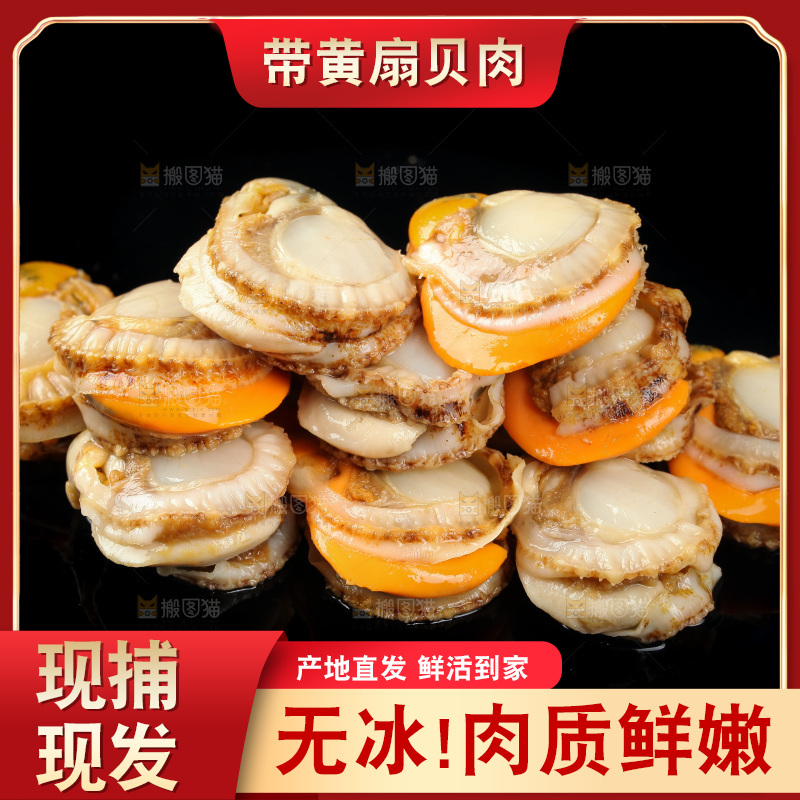 深底上的带黄扇贝肉