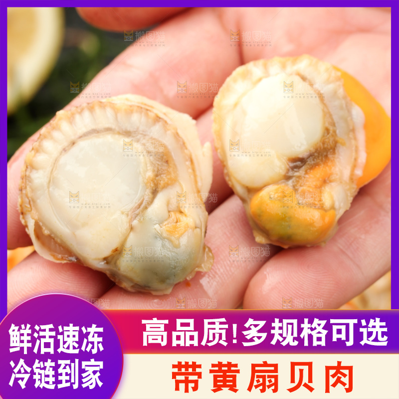 深底上的带黄扇贝肉