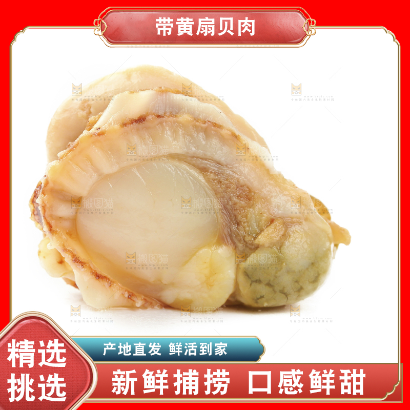 白底上的带黄扇贝肉