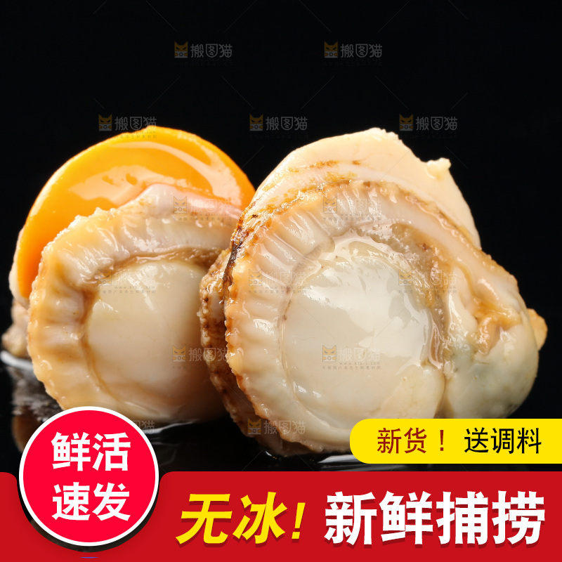 深底上的带黄扇贝肉