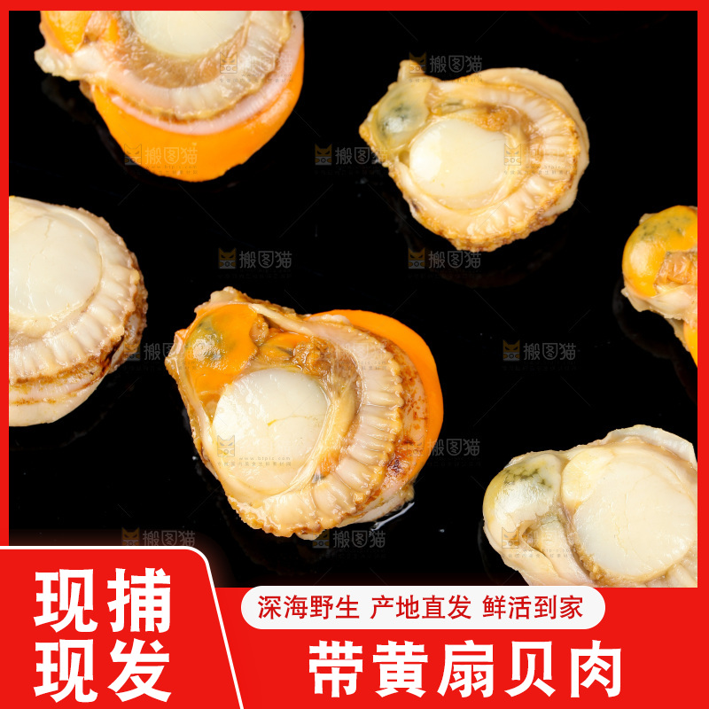 深底上的带黄扇贝肉