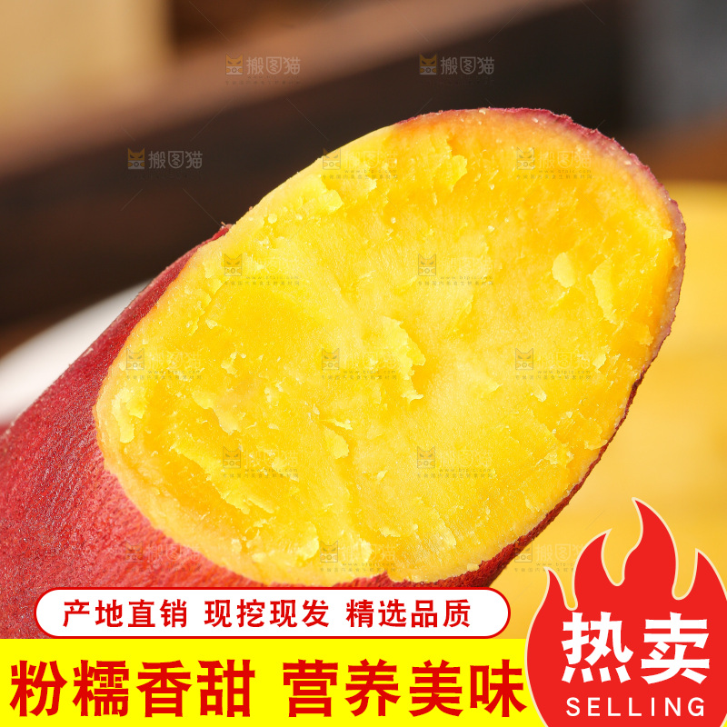 深底上的天目山小香薯