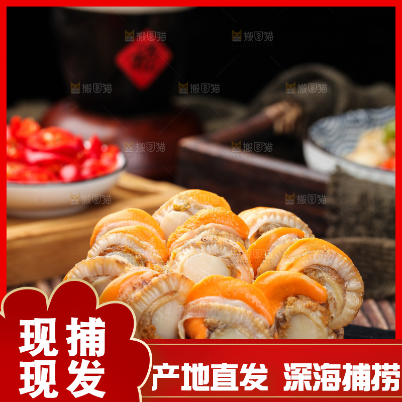 深底上的带黄扇贝肉