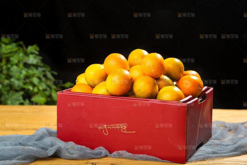 木底上的脆蜜金柑