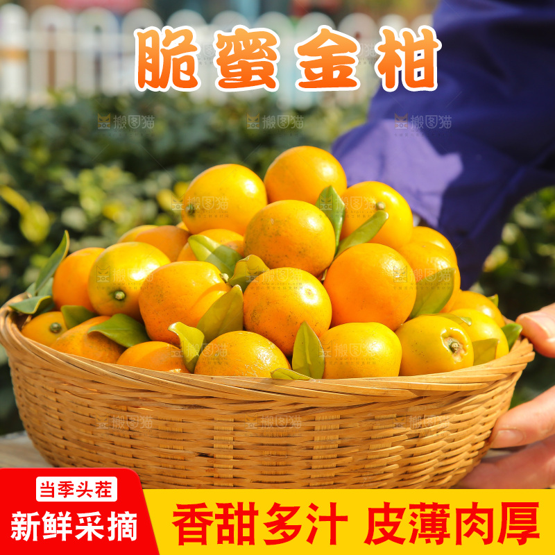 木底上的脆蜜金柑