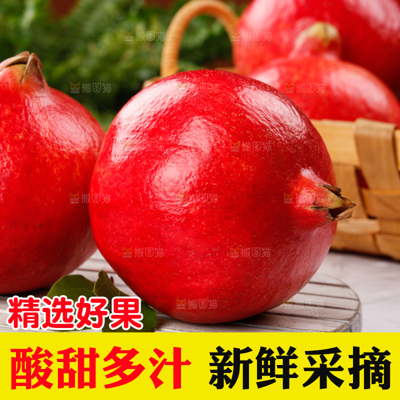 浅底上的黒籽酸石榴
