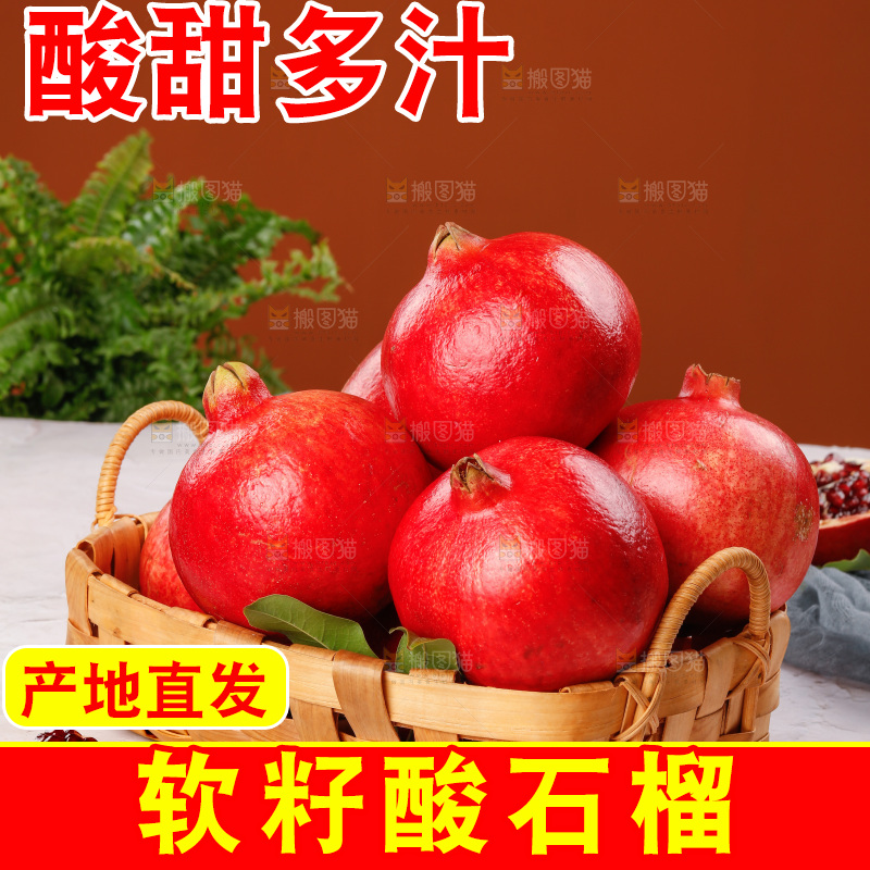 浅底上的黒籽酸石榴