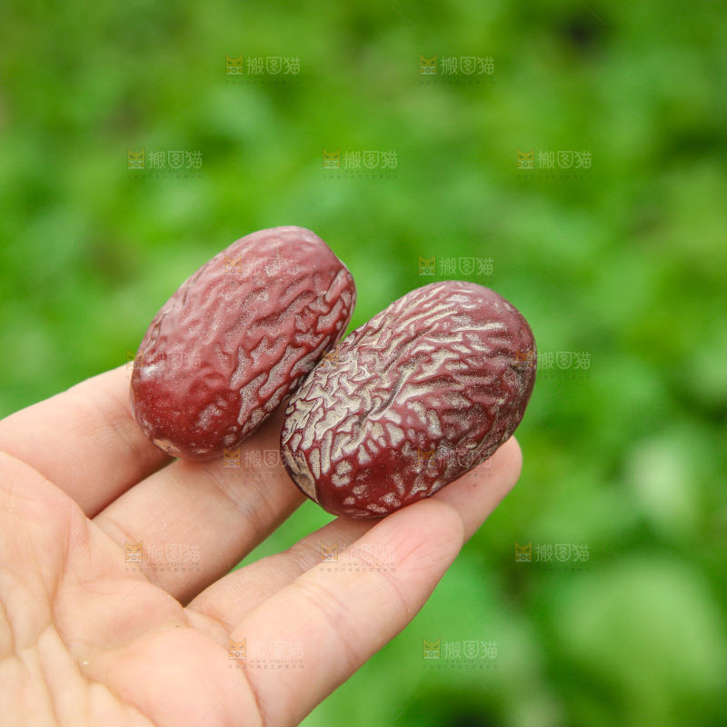 手里拿着灰枣