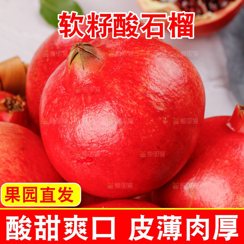 浅底上的黒籽酸石榴