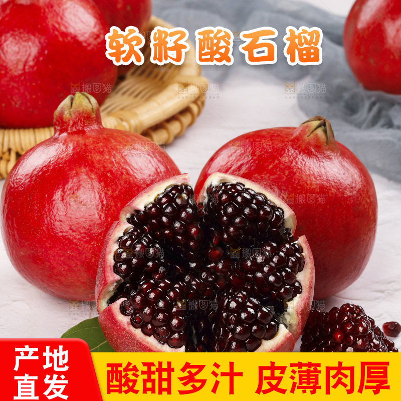 浅底上的黒籽酸石榴