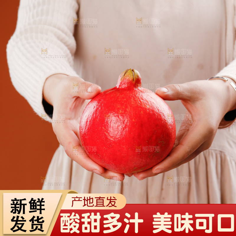 浅底上的黒籽酸石榴