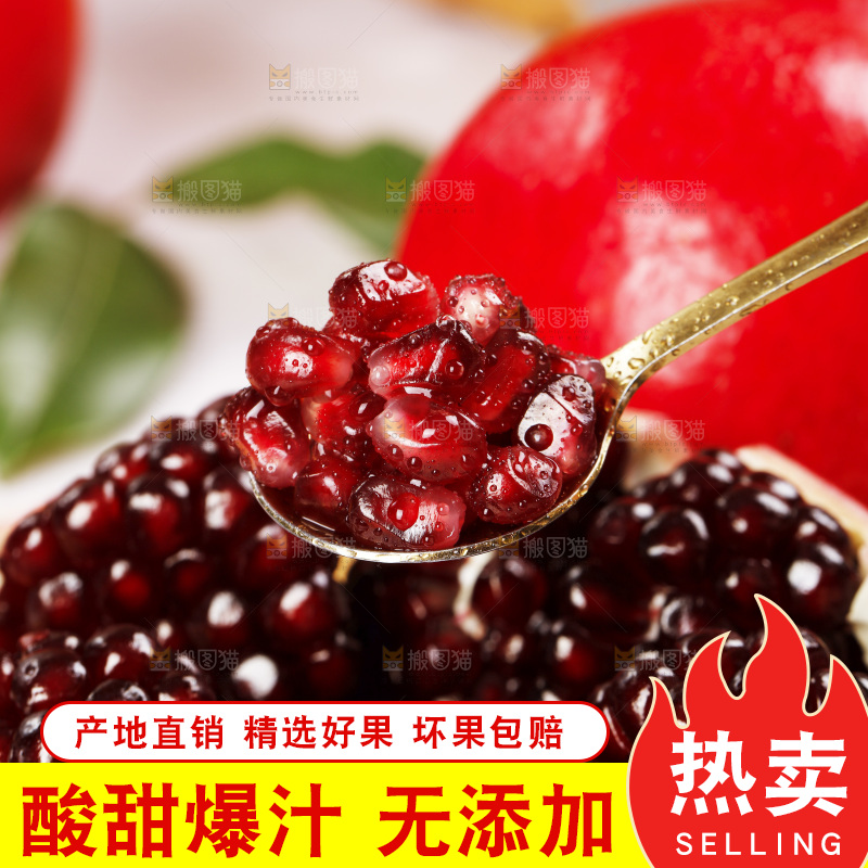 浅底上的黒籽酸石榴