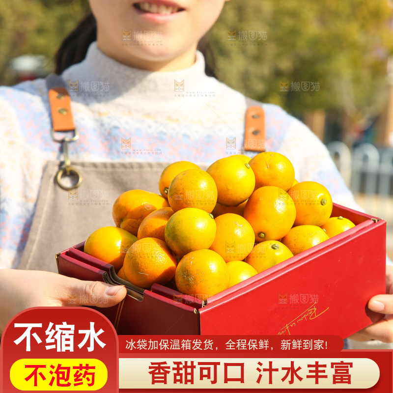 手里拿着脆蜜金柑