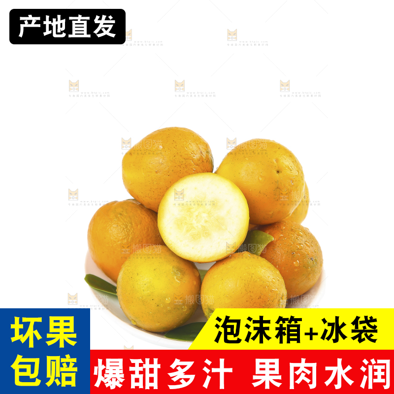 白底上的金柑