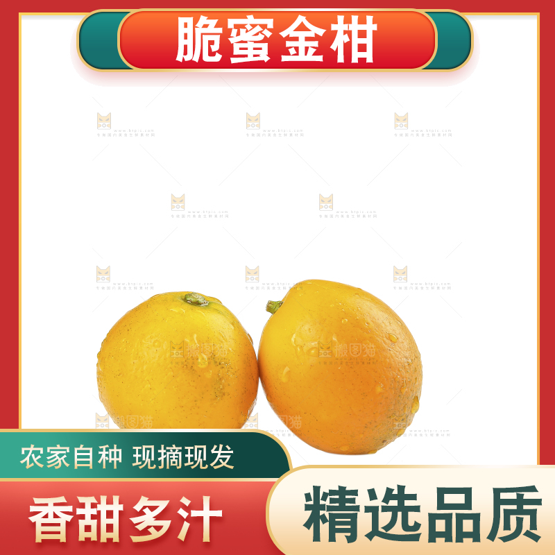 白底上的金柑