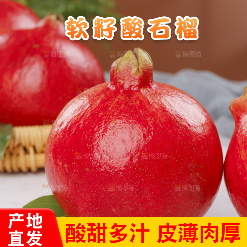 浅底上的黒籽酸石榴