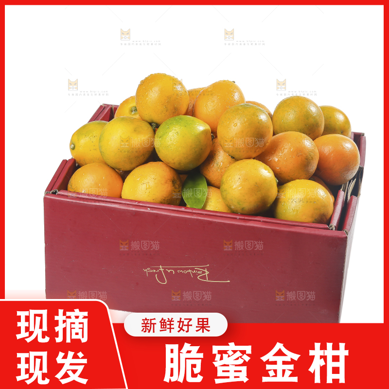 白底上的金柑