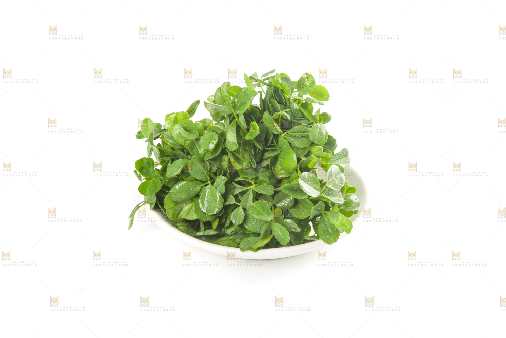 白底上的苜蓿菜