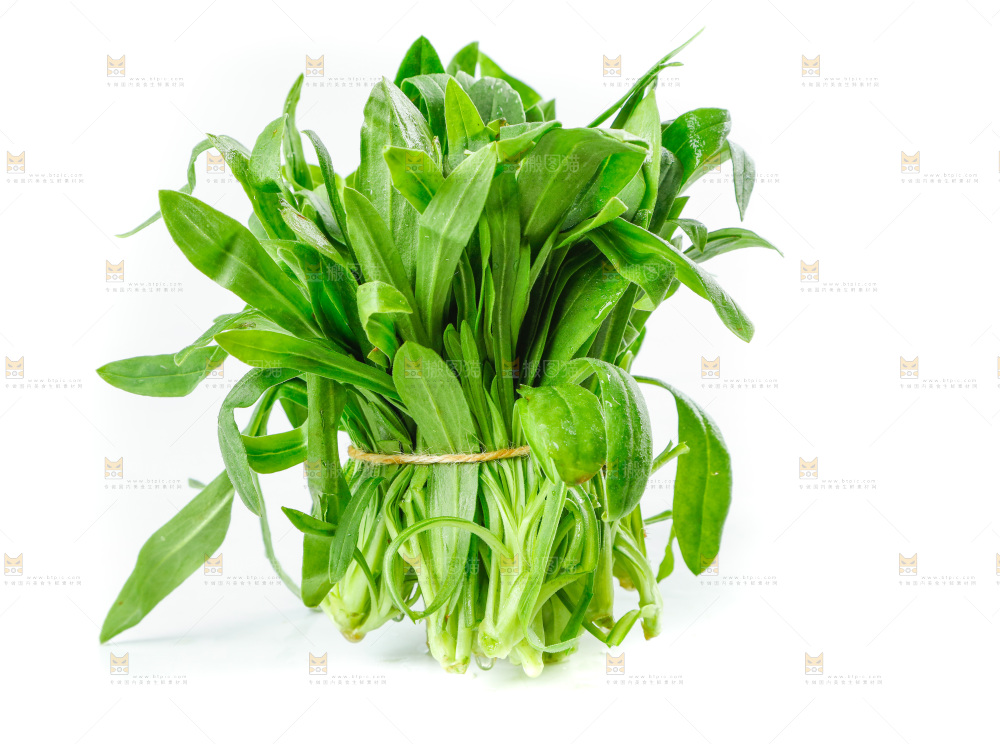 白底上的面条菜