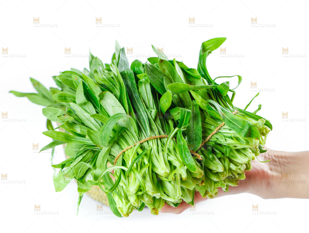 白底上的面条菜