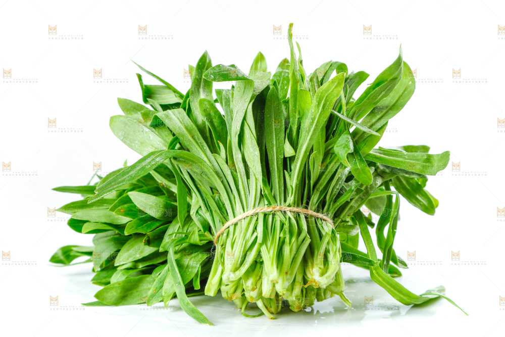 白底上的面条菜