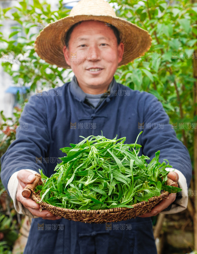 手里拿着面条菜