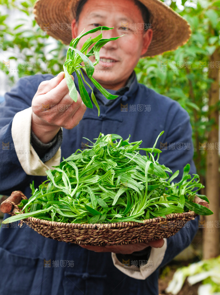 手里拿着面条菜