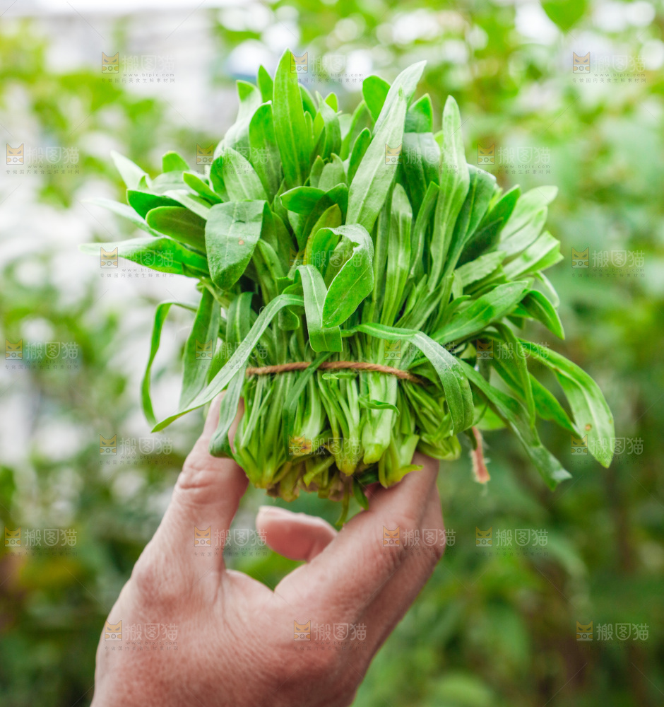 手里拿着面条菜