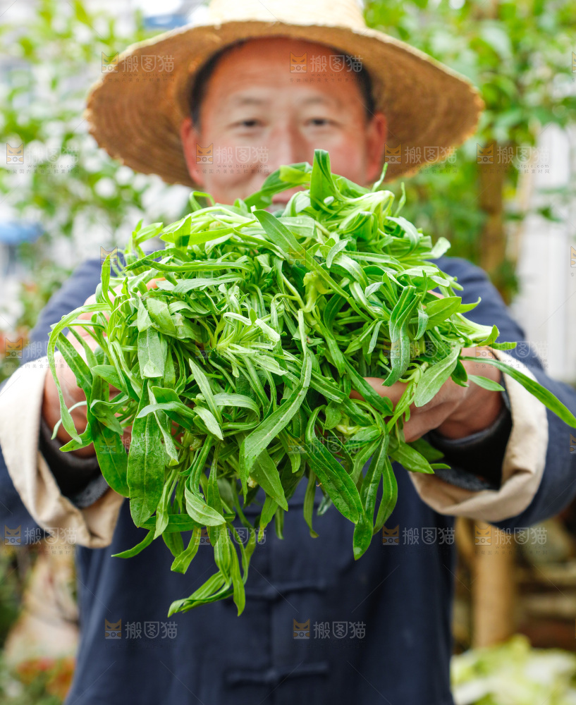 手里拿着面条菜