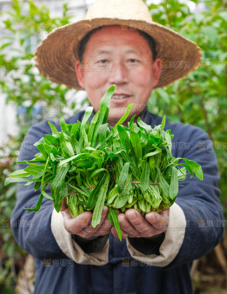 手里拿着面条菜