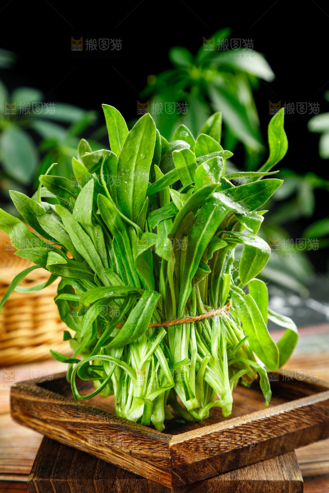 深底上的面条菜
