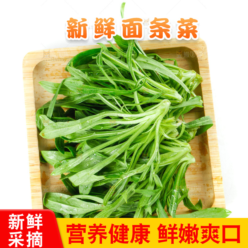 白底上的面条菜