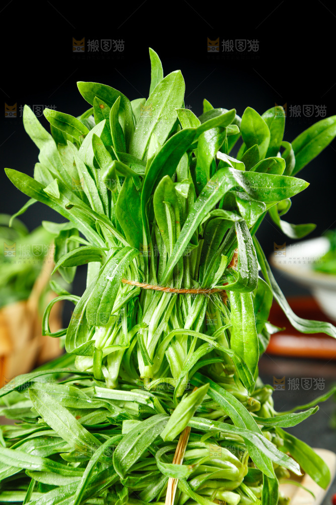 深底上的面条菜