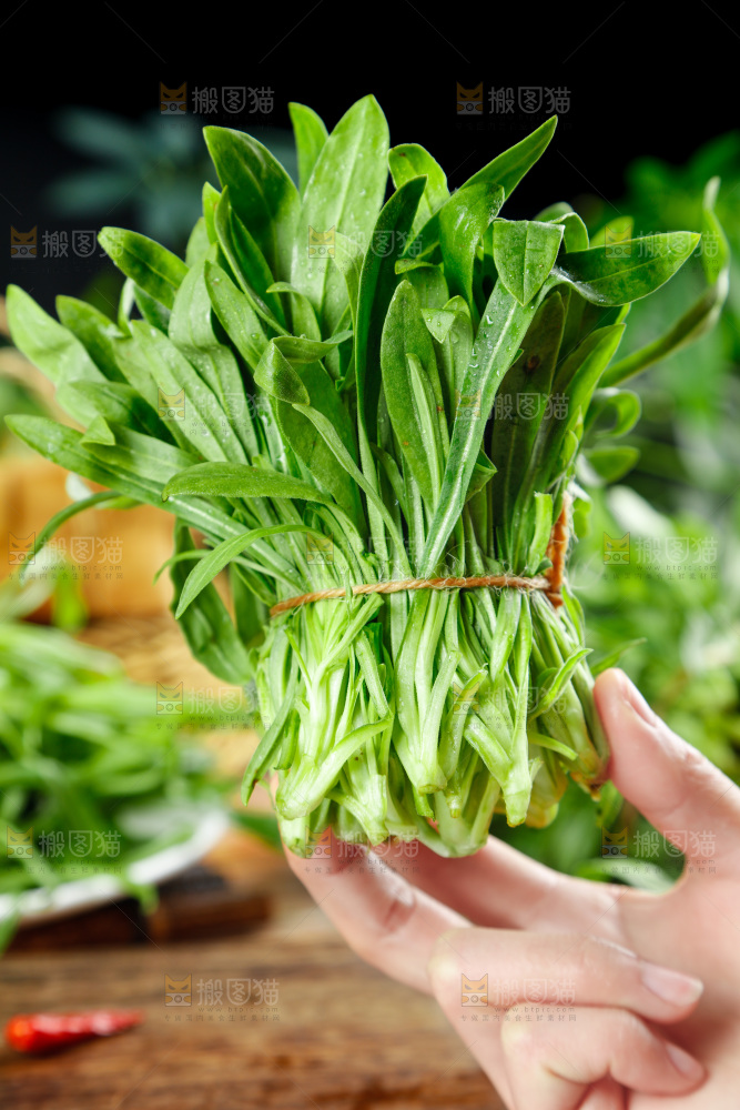 深底上的面条菜