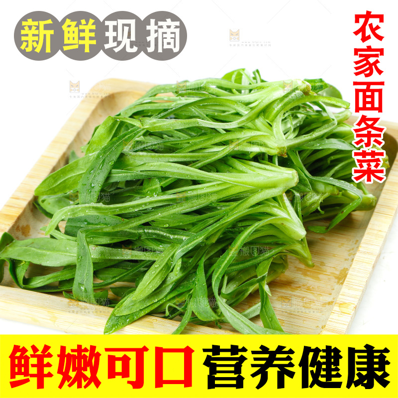 白底上的面条菜