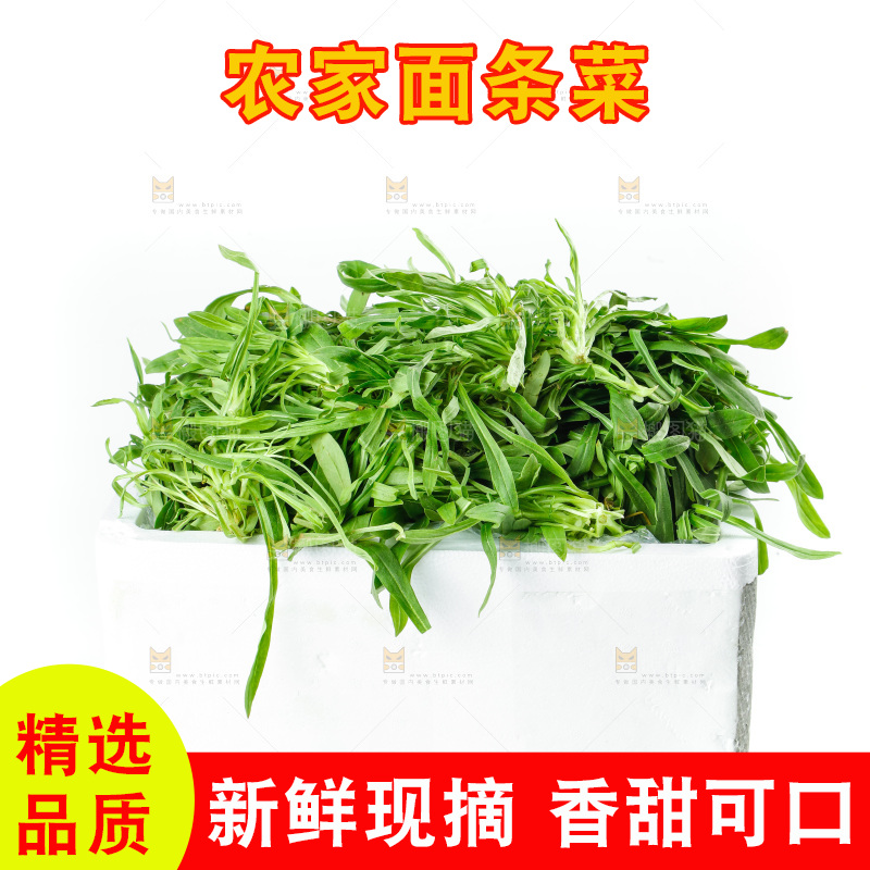 白底上的面条菜