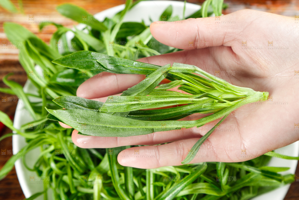 深底上的面条菜