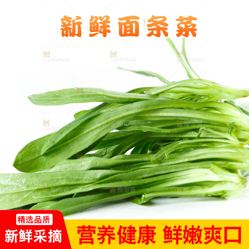 白底上的面条菜