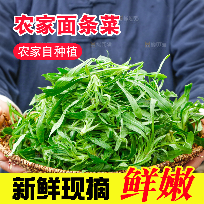 手里拿着面条菜