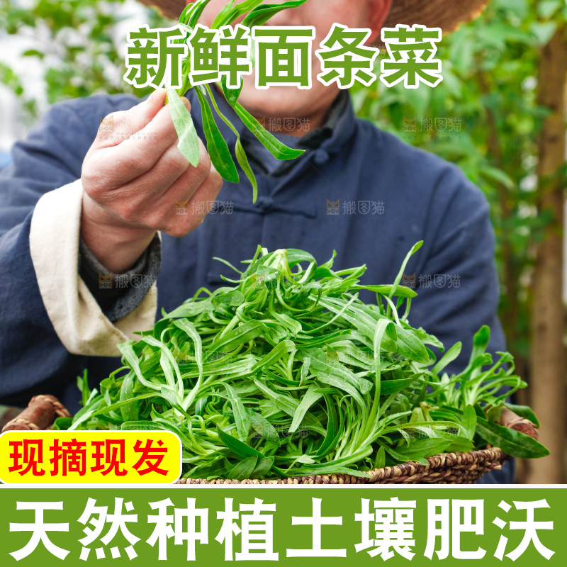 手里拿着面条菜