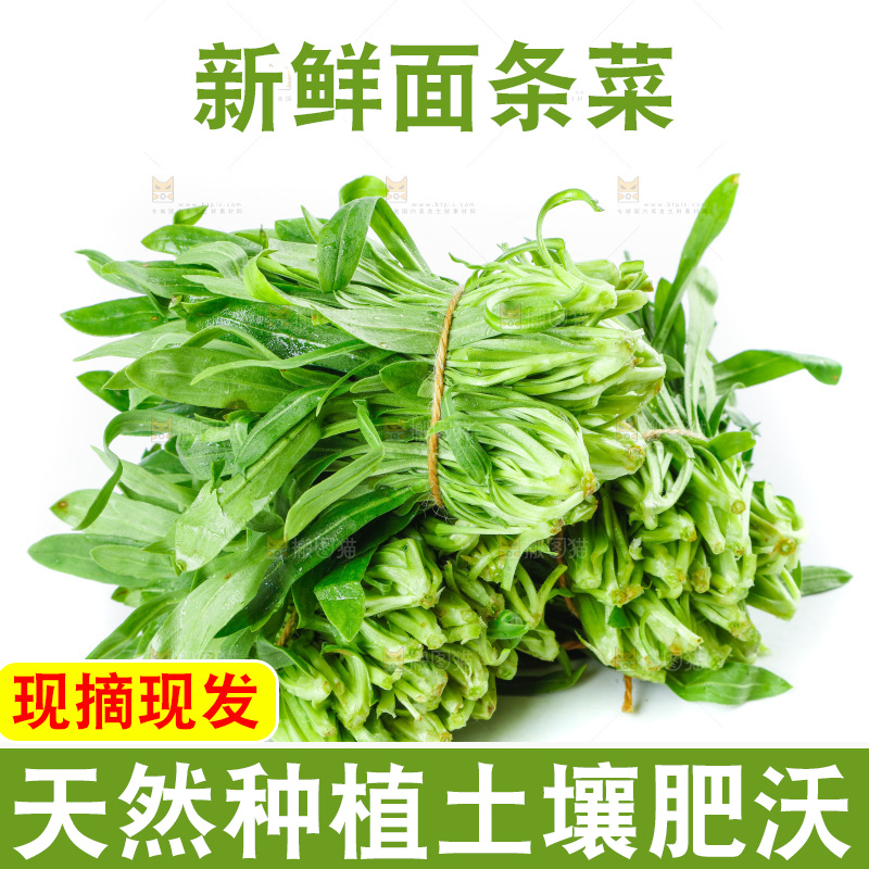 白底上的面条菜