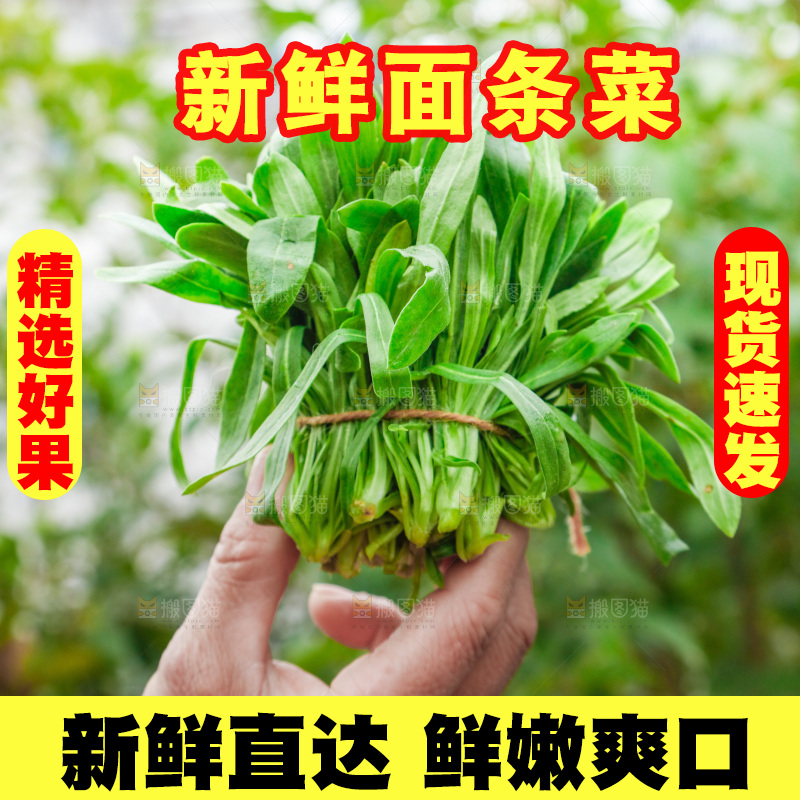 手里拿着面条菜