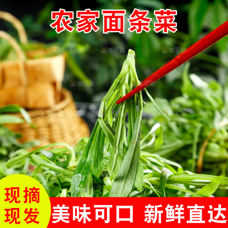 深底上的面条菜
