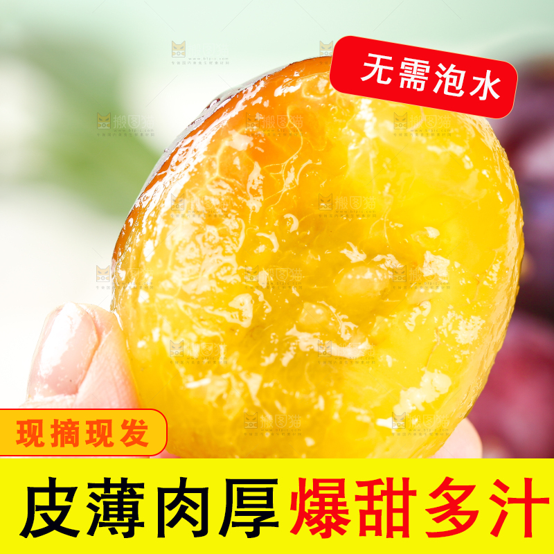 浅底上的澳洲西梅