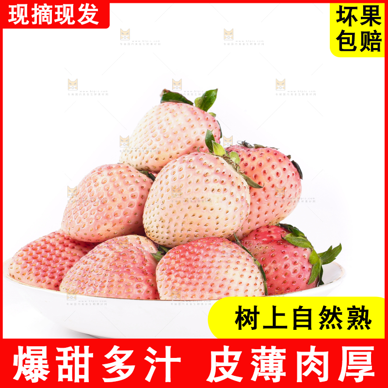 白底上的淡雪草莓