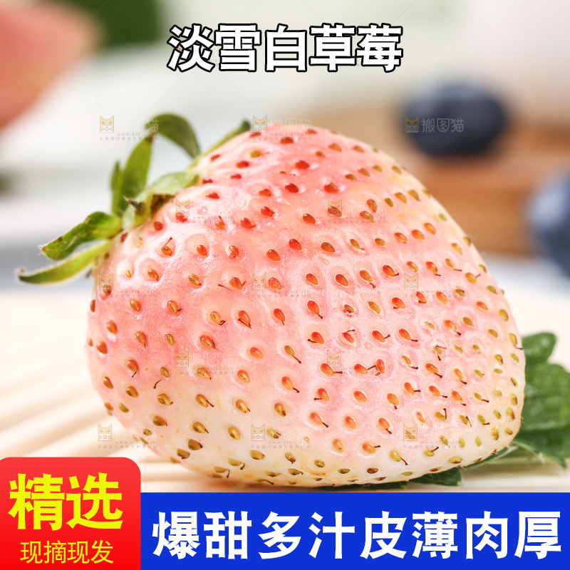 浅底上的淡雪草莓