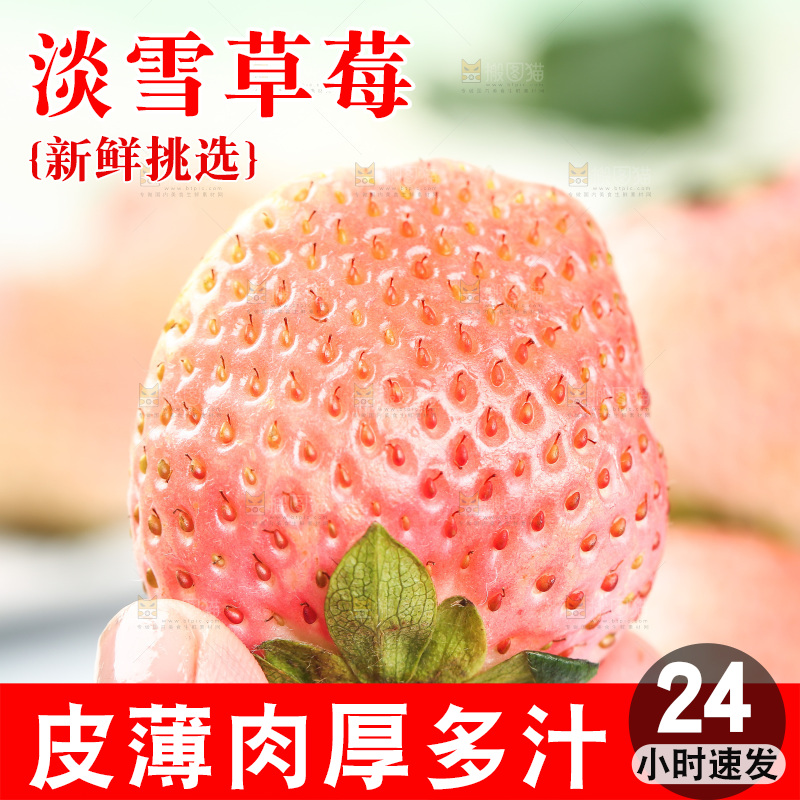 浅底上的淡雪草莓