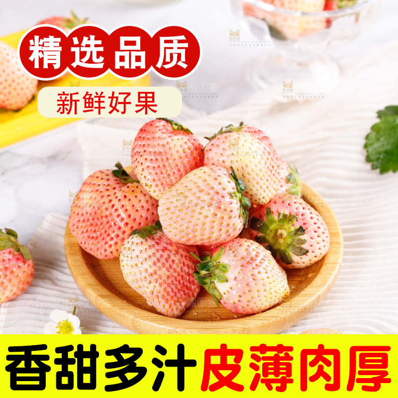 浅底上的淡雪草莓